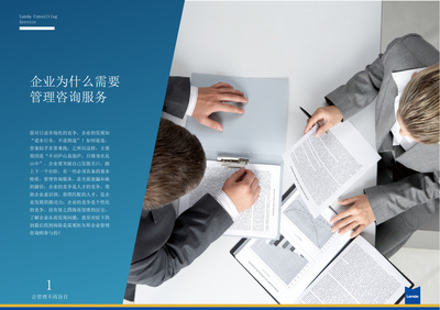企業(yè)管理咨詢視覺(jué)形象設(shè)計(jì) S6服務(wù)產(chǎn)品手冊(cè)的藝術(shù)呈現(xiàn)